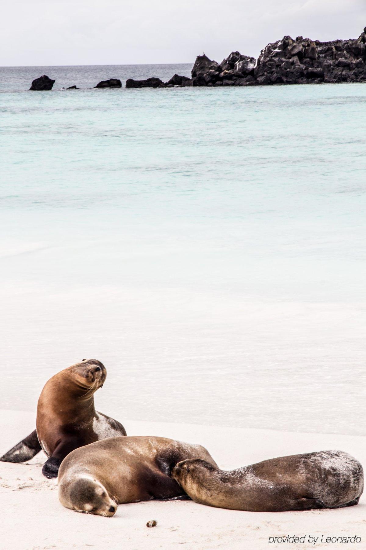 Finch Bay Galapagos Hotel Пуэрто-Айора Экстерьер фото