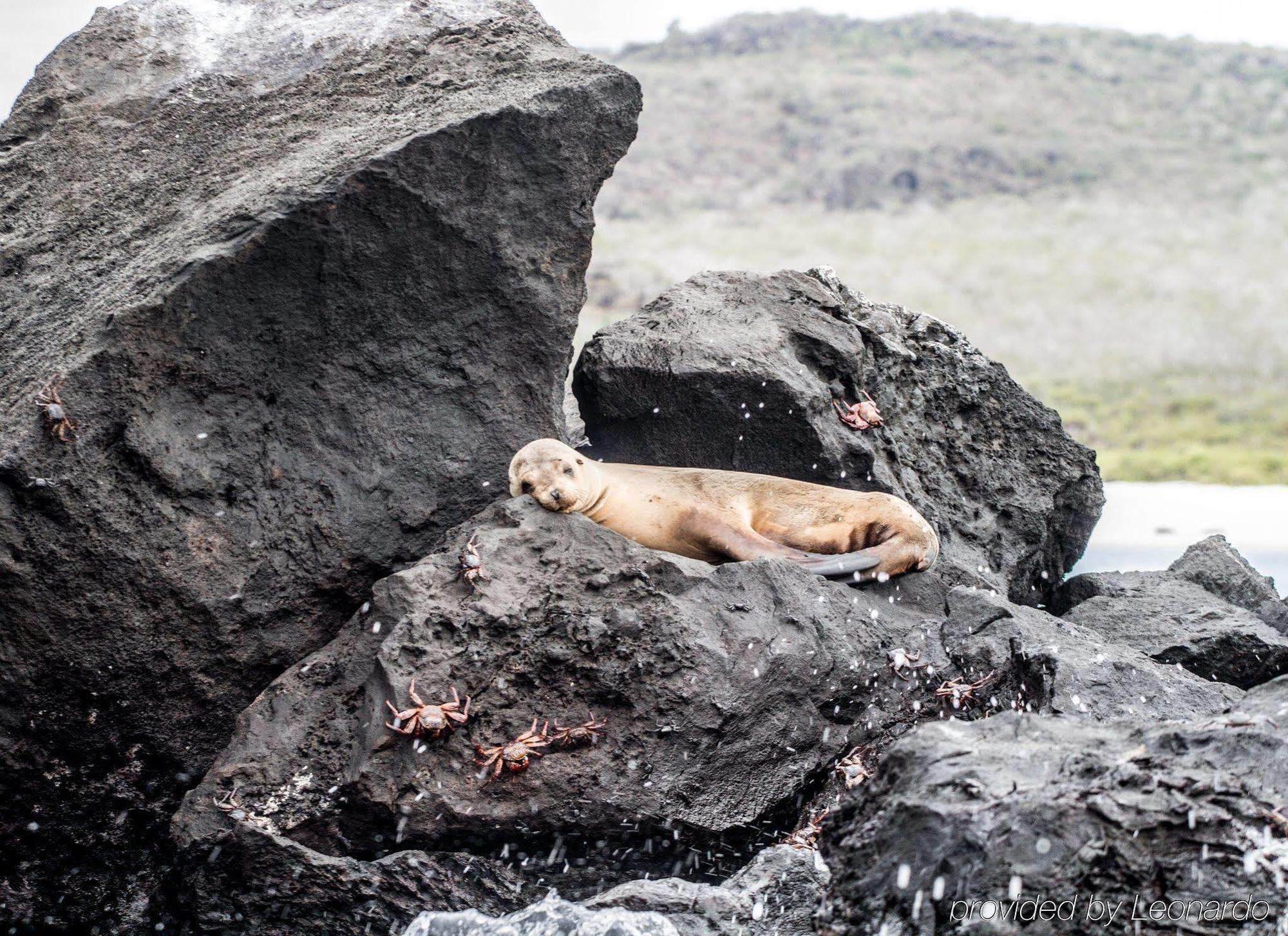 Finch Bay Galapagos Hotel Пуэрто-Айора Экстерьер фото