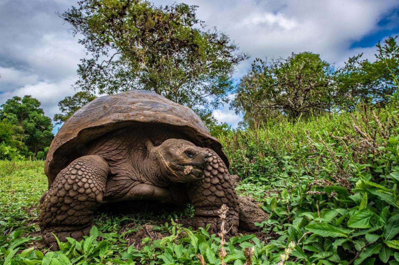 Finch Bay Galapagos Hotel Пуэрто-Айора Экстерьер фото